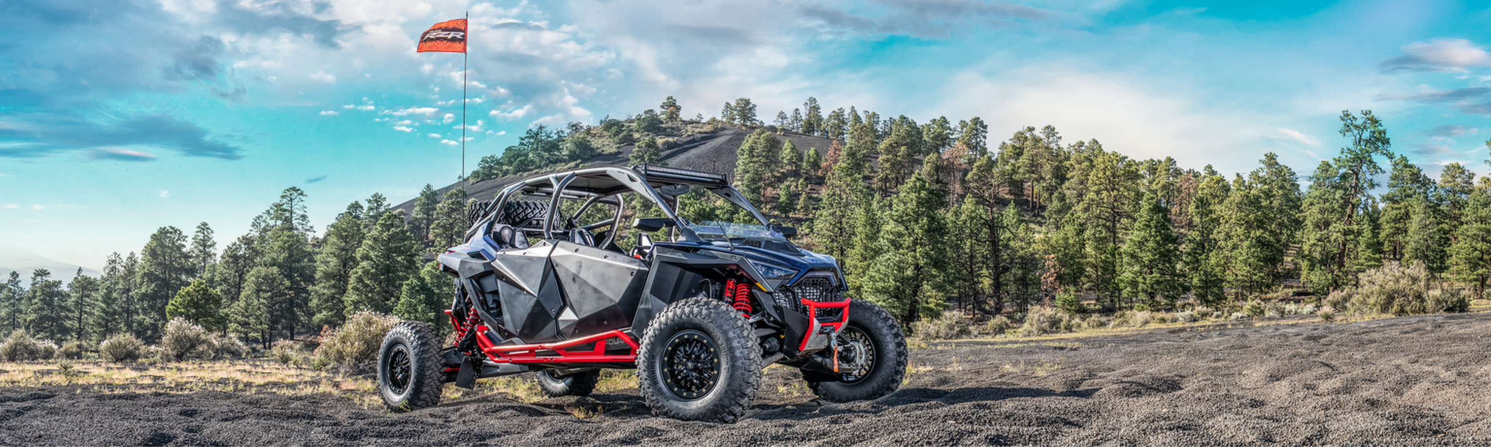 2019 Can-Am® Wild Catl for sale in Leaders RPM, Kalamazoo, Michigan